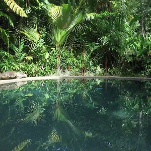 daintree-rainforest-retreat-motel.queenslandhotels.net/